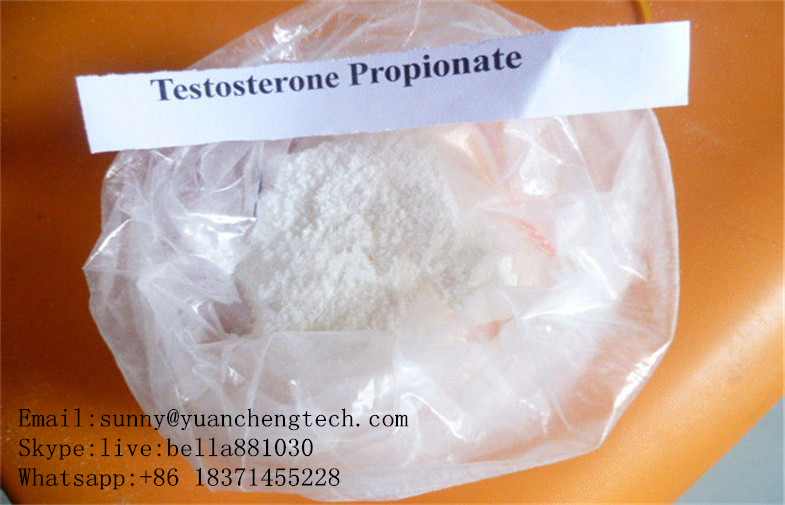 CAS 57-85-2 Testosterone Propionate for Training