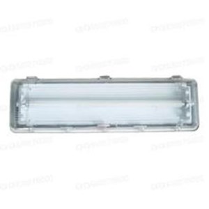 Explosion Proof Fluorescent