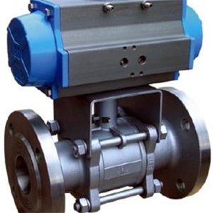 Bellow Seal Valve