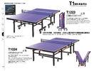 Double Folding Indoor Table Tennis Table , Official Game Power Table Tennis Table