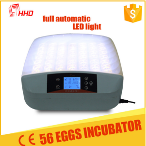 CE Approved Solar mini 56 Egg Incubator Automatic Turning with LED Light inside YZ-56S