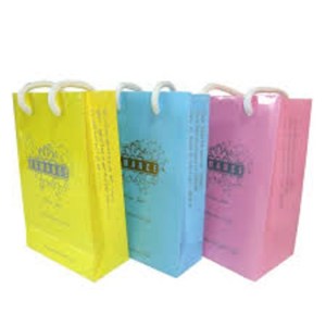 A Great Variety Of Models Preprinted Paper Bag
