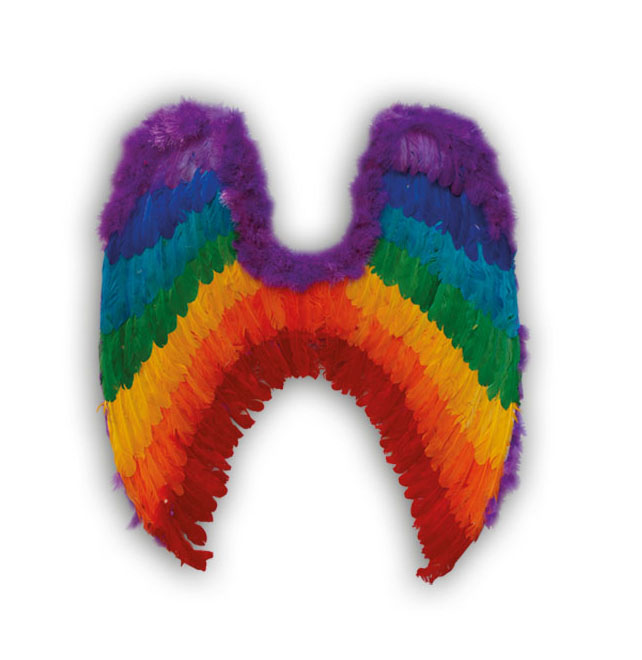 Feather angel wing for sale - China supplier W-1001