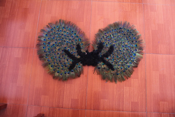 Cheap feather angel wing for sale - China supplier W-1007