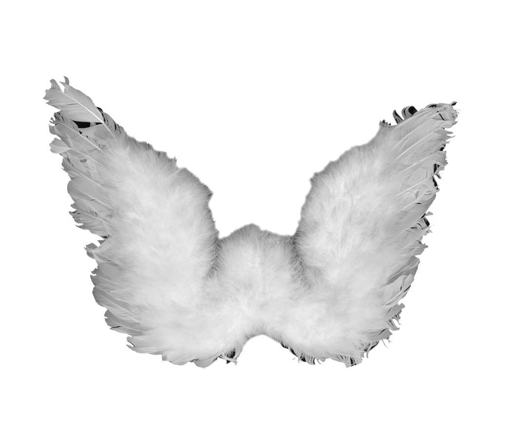beautiful feather angel wings - Made in China W-1102
