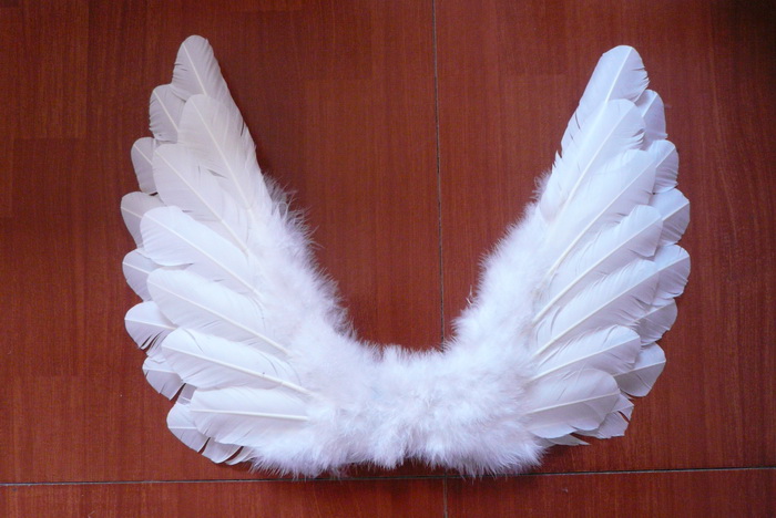 beautiful feather angel wings - Made in China W-1109