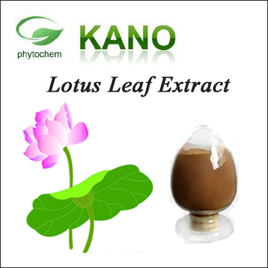 Lotus Leaf Extract 2% Nuciferine 