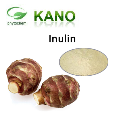 Inulin 90% Helianthus tuberosus L. 