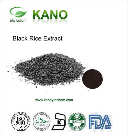 Black Rice Extract 5%-40%Anthocyanidin
