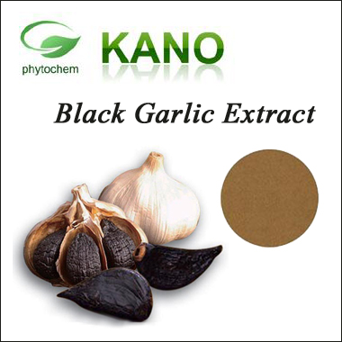Black Garlic Extract 10:1,1%-3%Polyphenol by UV