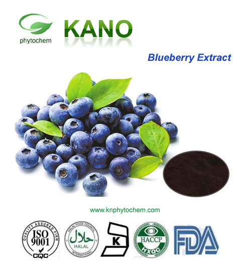 Blueberry Extract 25%Anthocyanidin EP Standard