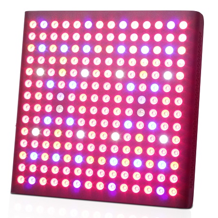 Hot selling LED Light for indoor plants600w-Herifi 