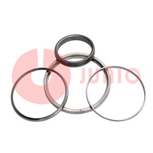 Stainless Steel Bonnet Seal Ring