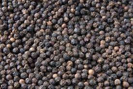 Premium Quality Black Pepper Origin Thailand
