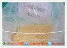 Trenbolone Acetate Steroid 10161-34-9 Trenbolone Acetate Finaplix H / Revalor-H