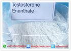 Anabolic Steroid Powder Muscle Gain Testosterone Enanthate 99% Assays CAS 315-37-7