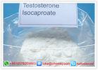 Legal Powder Testosterone Steroids , Testosterone Isocaproate CAS 15262-86-9