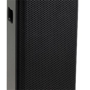 PS 10 Inch Stage Monitor Speaker