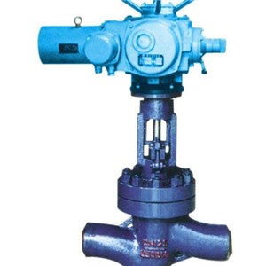 Electric Globe Valve