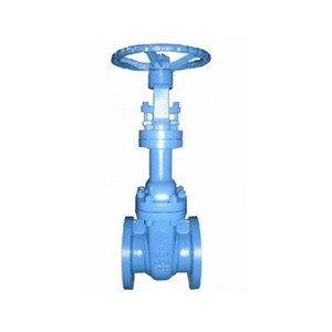 Bellow Gate Valve