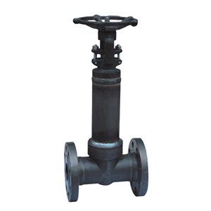 Bellow Globe Valve