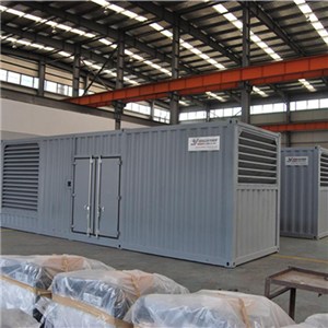60HZ MAN Container Type Diesel Generator