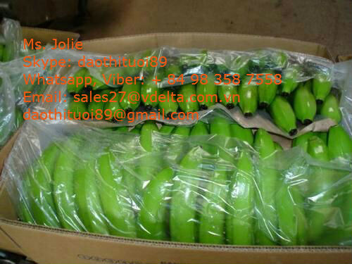 FRESH CAVENDISH BANANA Vietnam 2016 (Jolie whatsapp viber 84 98 358 7558)