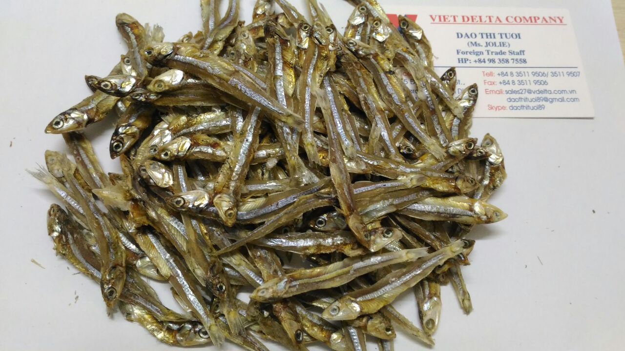 DRIED ANCHOVY FISH DRIED SPRATS MULLET BULLHEAD Pla Sai Tan 2016 (Whatsapp viber 84 98 358 7558)