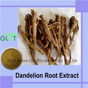 Dandelion Root Extract