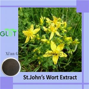 St.John& acute;s Wort Extract