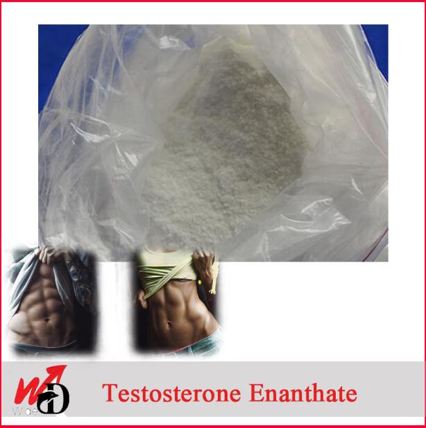 Bodybuilding Chemical Steroid Powder Hormone Cas 315-37-7 Testosterone Enanthate 