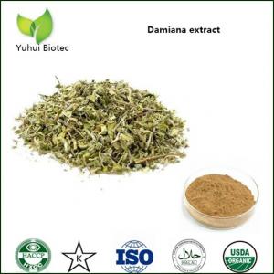 sexual enhancement Damiana Extract, men sexual power damiana powder,damiana p.e.