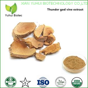 thunder god vine extract,thunder god vine root extract,thunder god vine extract powder