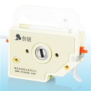 6 Or 10 Roller & acute;& acute;s Pump Head With High Precision DG Series