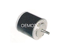 45mm Micro BLDC Motor