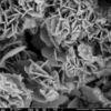 Molecular Sieve MCM-48 For Wastewater Treatment Of Organic Pollutants