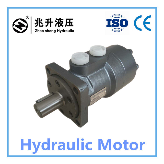 IN STOCK! OMP/BMP/BM1 Best Combination Orbit Hydraulic Spool Valve Motors ) is ready for shipping and waiting for its buyer