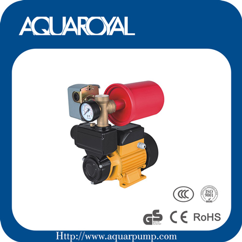 Vortex pump,Peripheral pump,Surface pump AU-TPS60