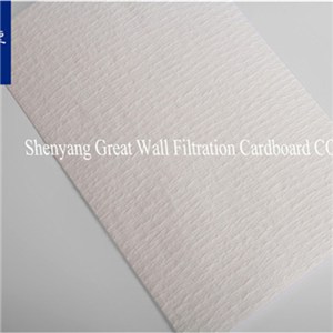Frying Oil Filter Paper