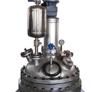 Hydrogenation Reactor