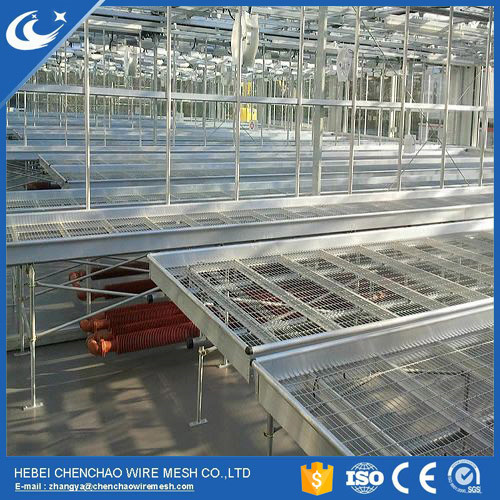 Stationary Benches and Tables for Greenhouse
