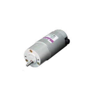 SPG DC Fan Motor