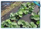 Biodegradable Garden Weed Control Fabric 100 % Virgin PP Non Woven Film
