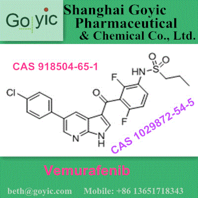 Vemurafenib   CAS 918504-65-1/1029872-54-5