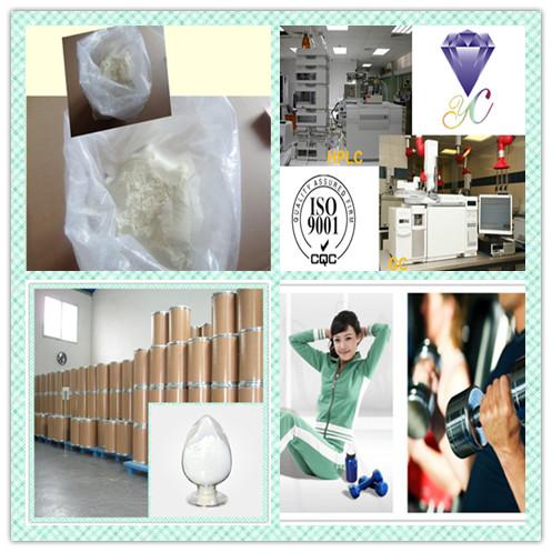 CAS 96829-58-2 Orlistat