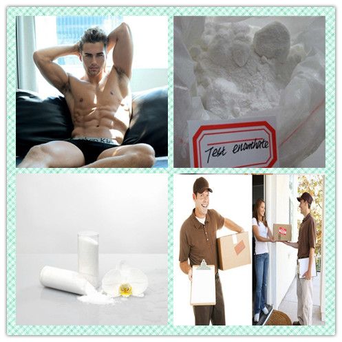 CAS 541-15-1 L-Carnitine