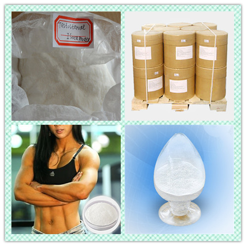 CAS 2446-23-3 Oral Turinabol