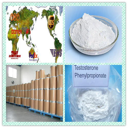 CAS 76-43-7 Fluoxymesterone