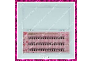 Individual Eyelash Extension