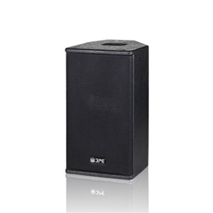 BT 10 Inch Multi-purpose Speaker